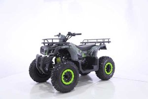 Квадроциклы Motax