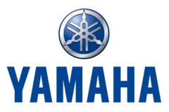 Стекла к снегоходам Yamaha