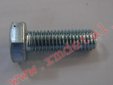 Болт М10х30 DIN 933-88P (S=14)