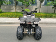 Квадроцикл MOTAX ATV Grizlik T200