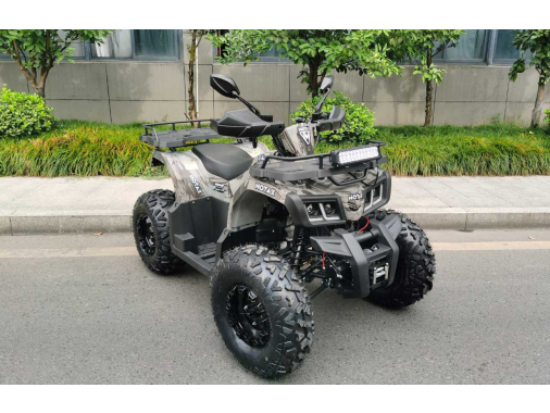 Квадроцикл MOTAX ATV Grizlik T200