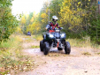 Квадроцикл MOTAX ATV Grizlik 200 LUX