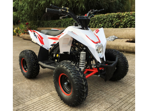 Квадроцикл Motax GEKKON 90cc