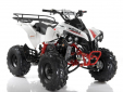 Квадроцикл Motax ATV Raptor LUX 125 сс